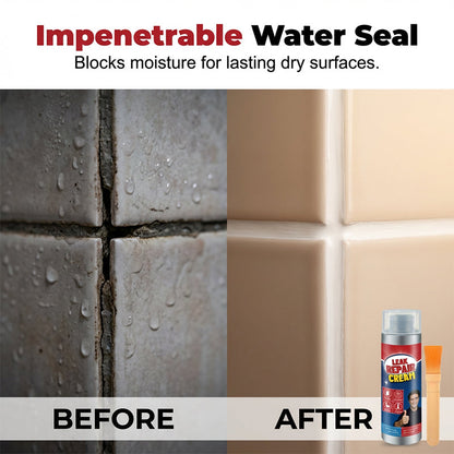 Waterproof Repair Sealant